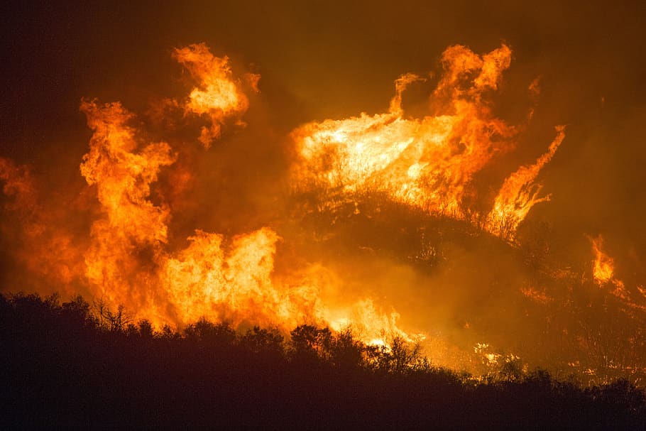 Amazon fires were particularly bad in 2019